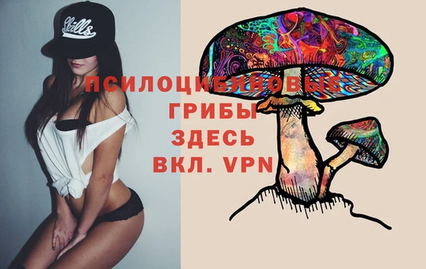 ешки Алзамай