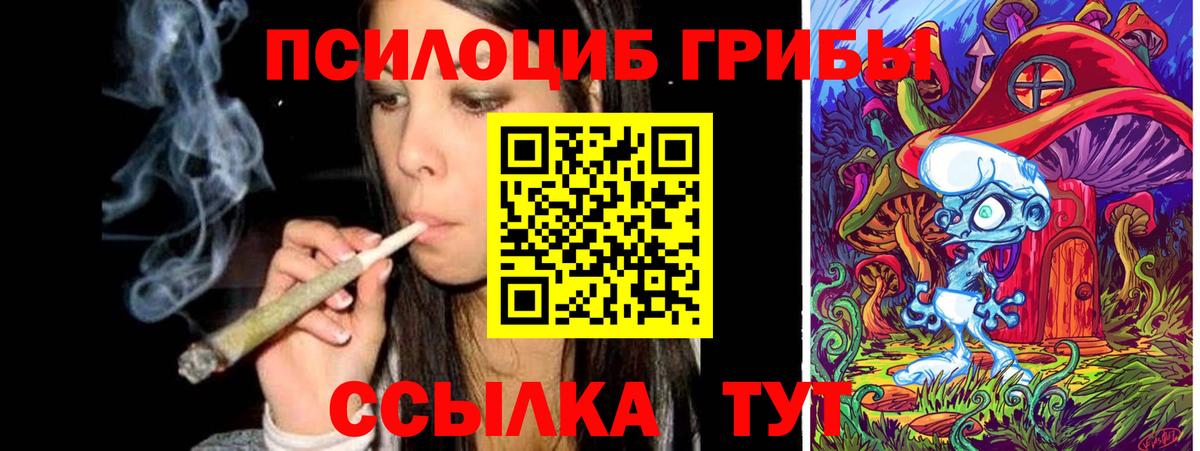 Советская Гавань  Псилоцибиновые грибы ЛСД  Вход с VPN 
